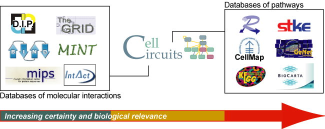 CellCircuits fills a gap between databases of interactions and databases of validated pathways